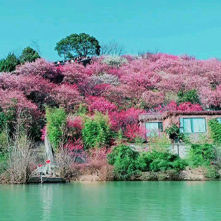 回不去的青春