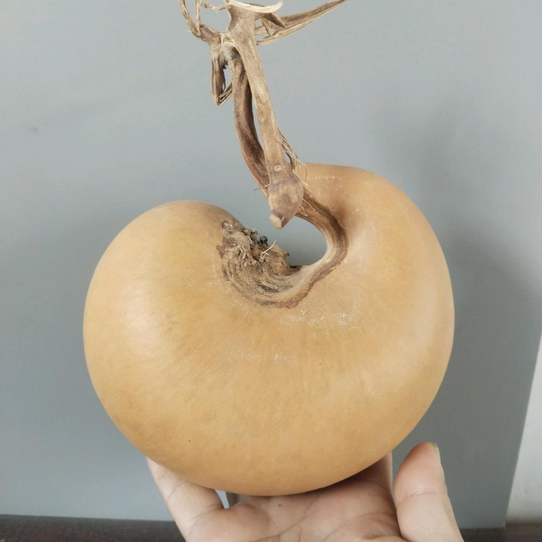 葫涧葫芦