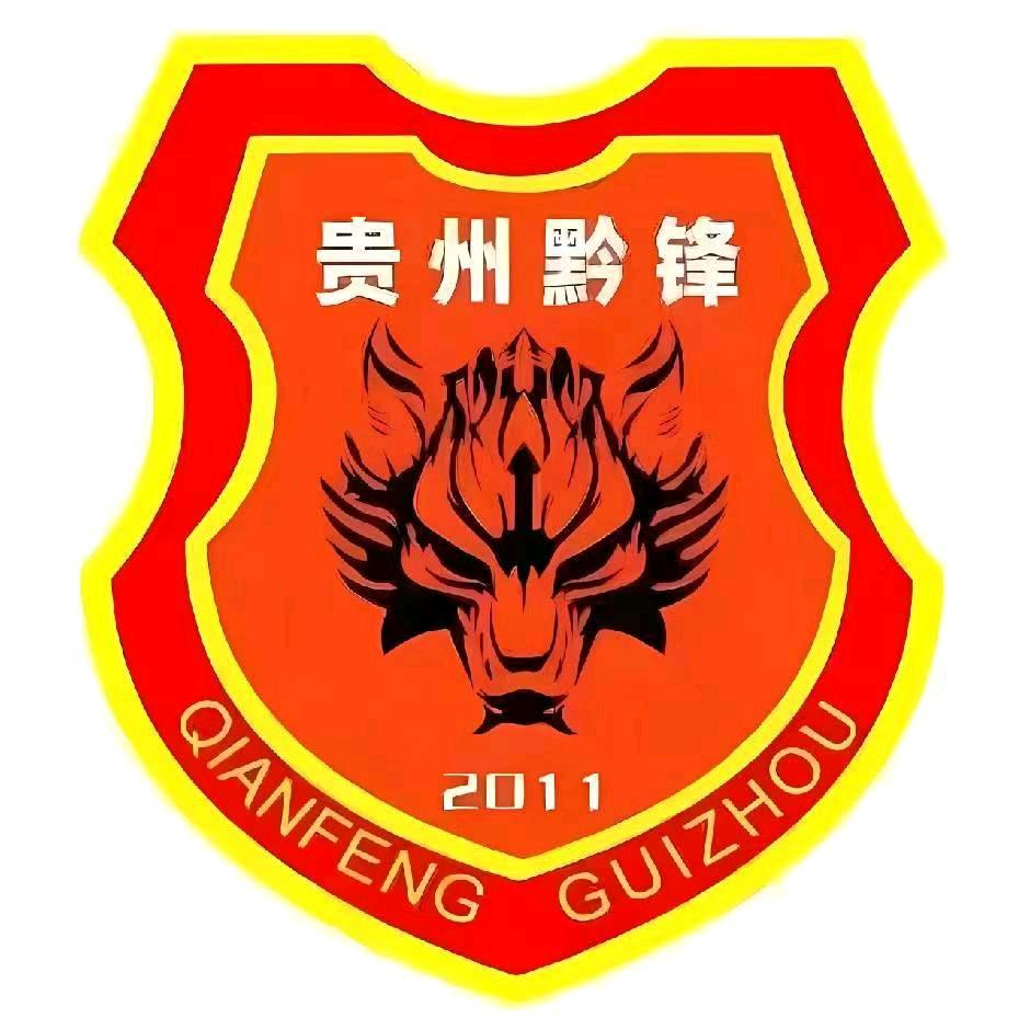 贵州黔锋