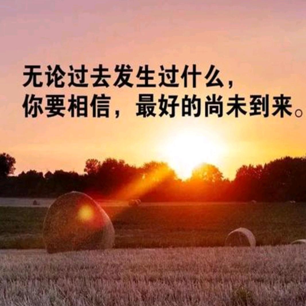 凤凰涅槃浴🔥重生
