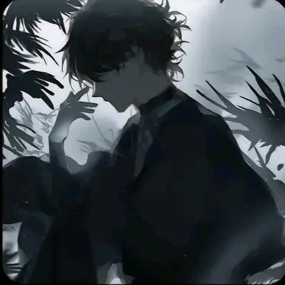 羽墨白轩