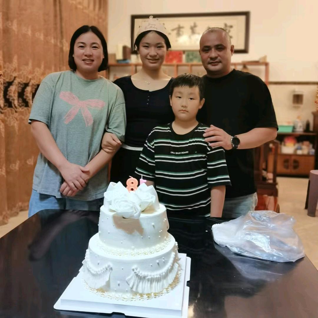 辰葵无人机吊运植保