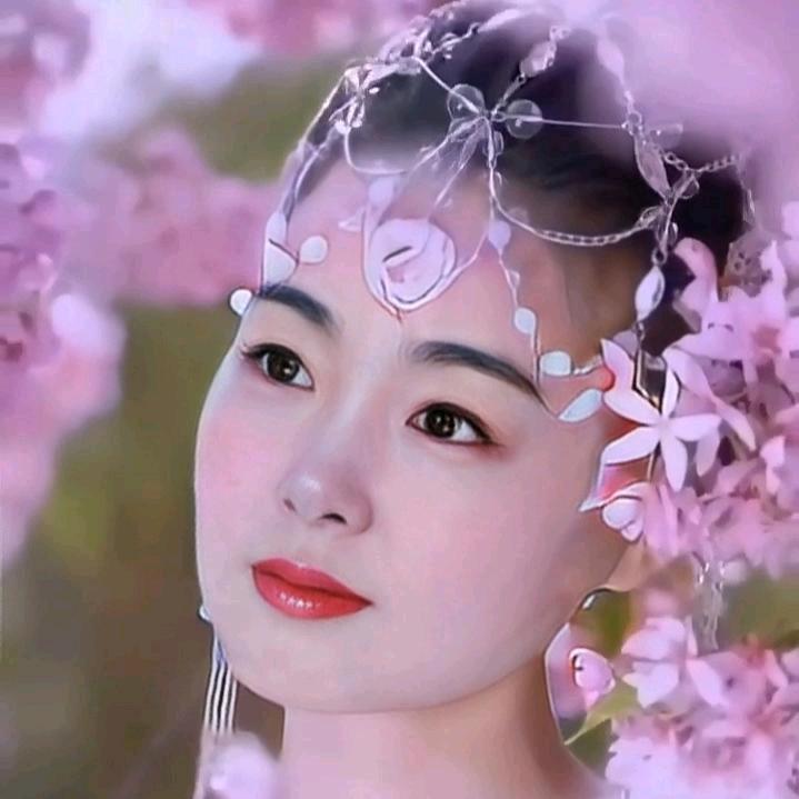 ♥(｡￫v￩｡)♥ Qin