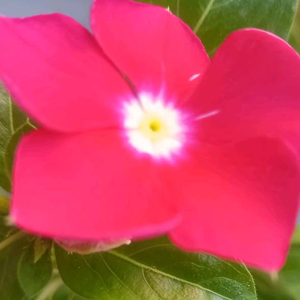 ℳღ好运᭄ꦿ꯭꯭相伴დ᭄