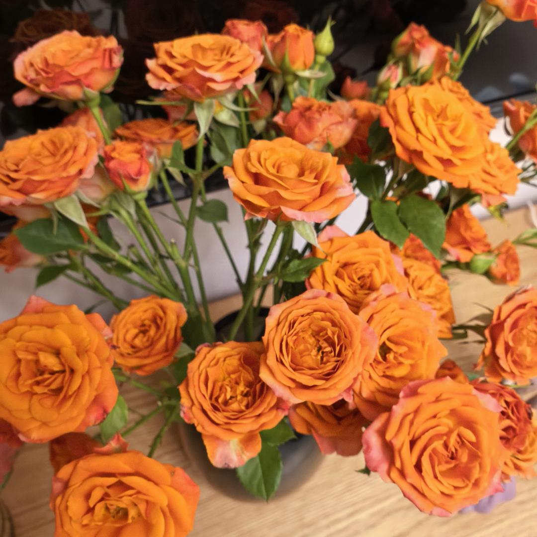 襄县福苑不交房