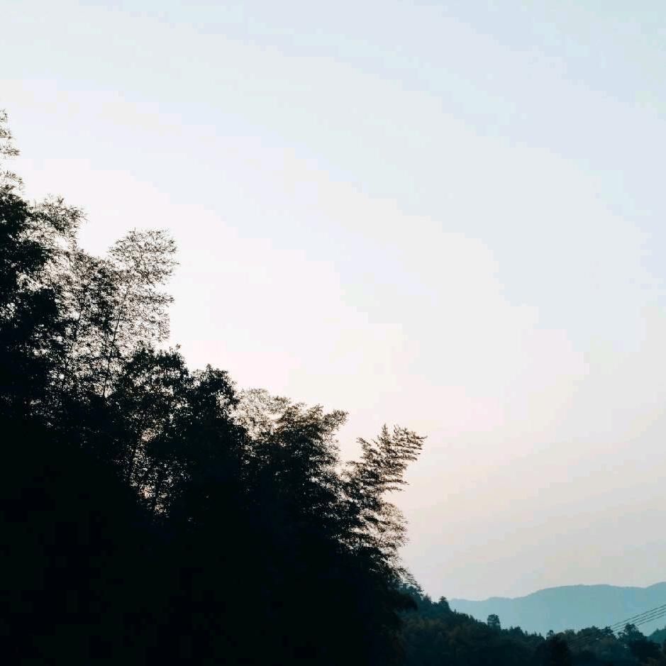 我要意气风发
