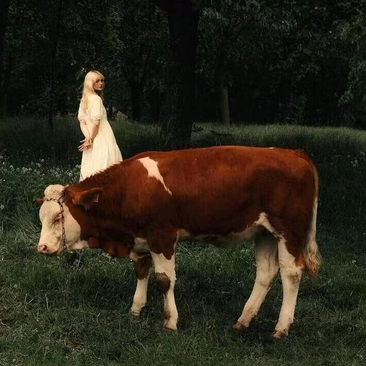 沅来.