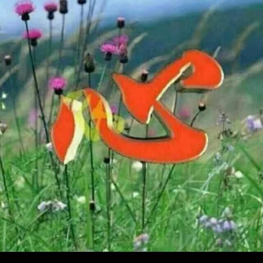 随缘✔