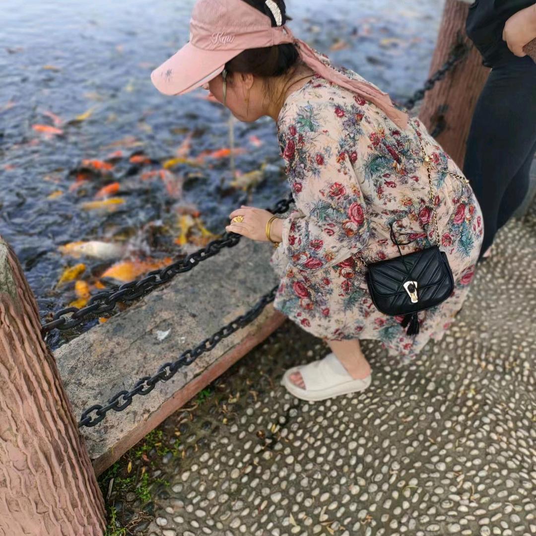 慧茹