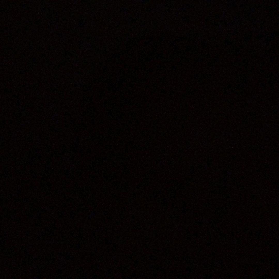 熊三