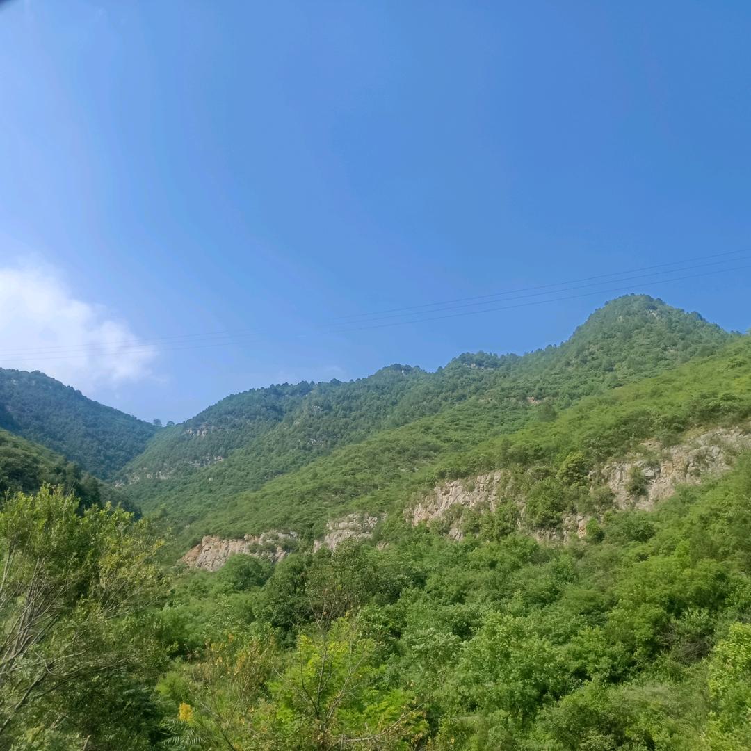 放牛娃