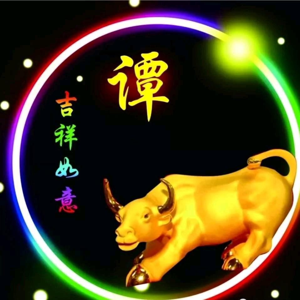 爱做梦的猪🐮