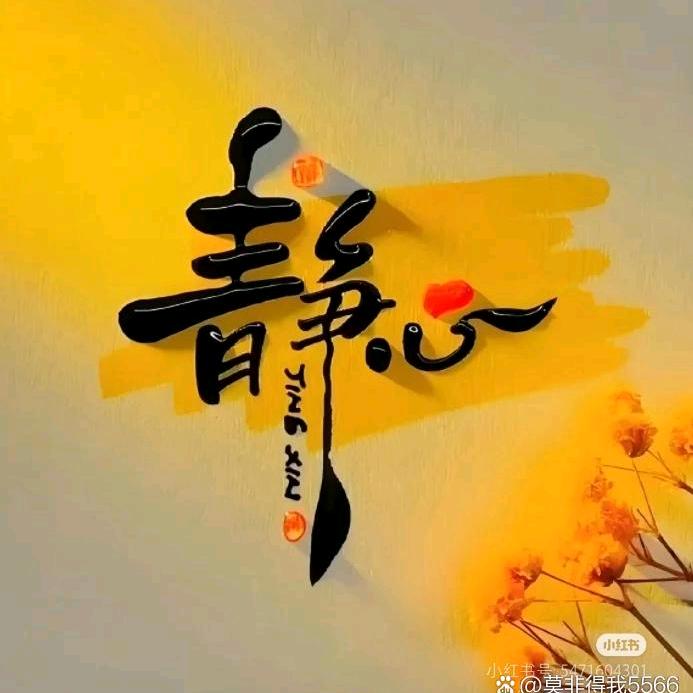 太阳☀️月亮
