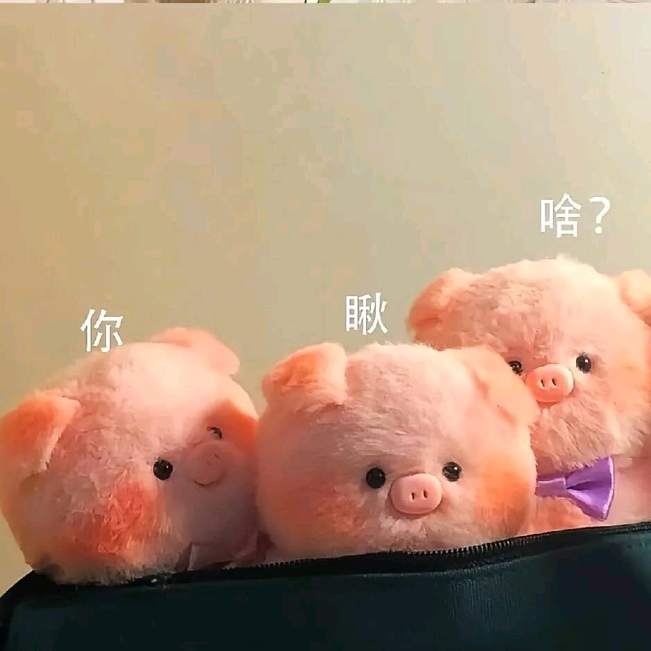 规律作息
