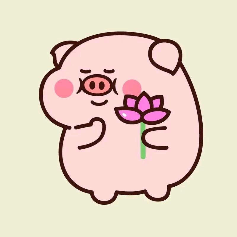 .小米.