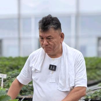 木匠爸爸的苗圃