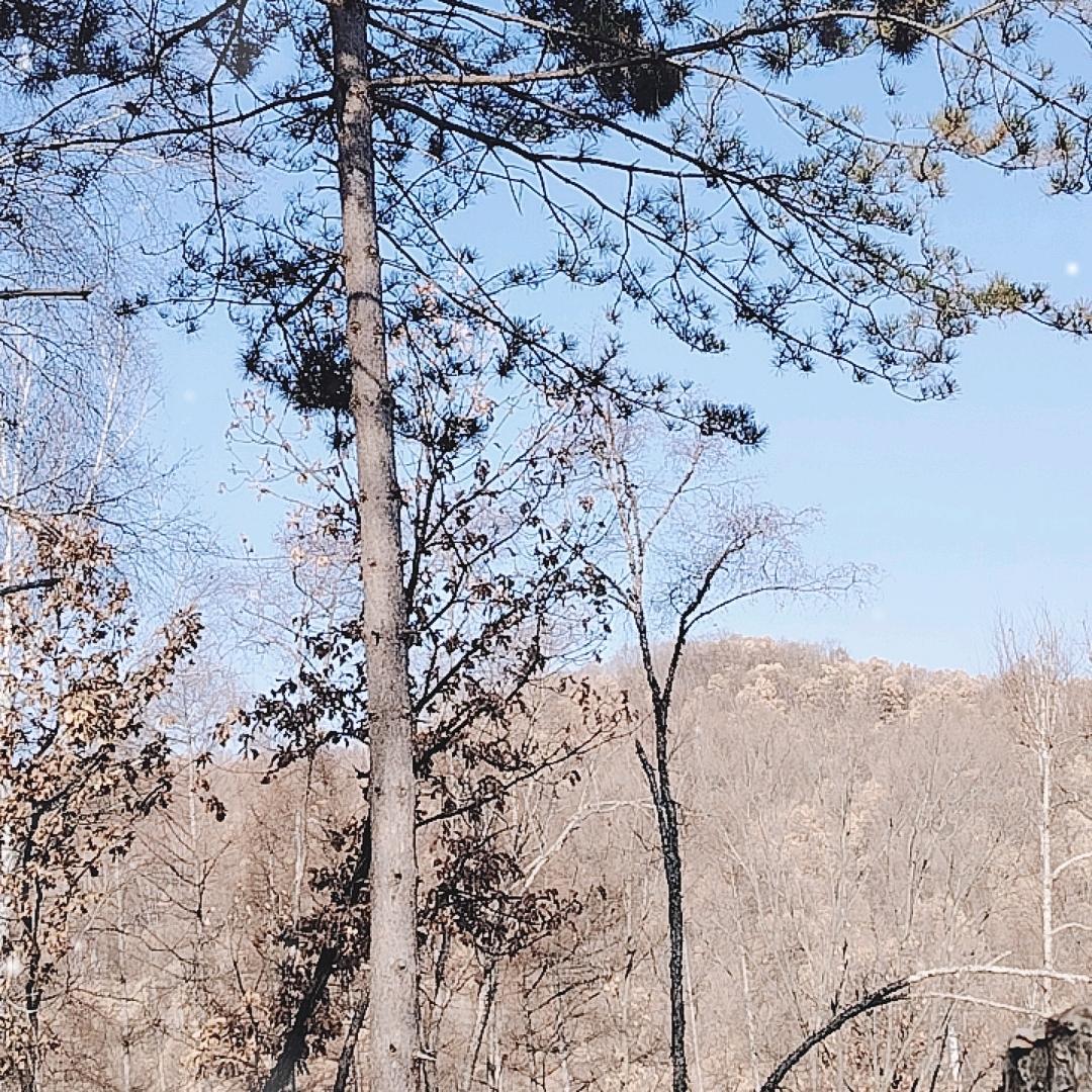 明辉东北土特产