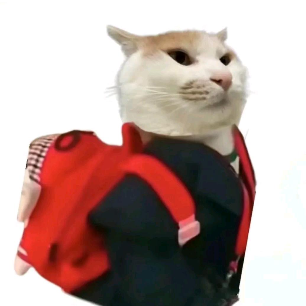 哈特碎碎
