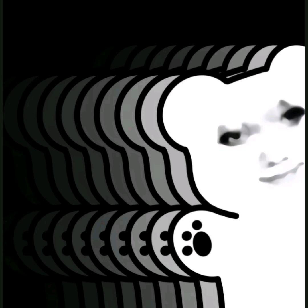 运佳佳