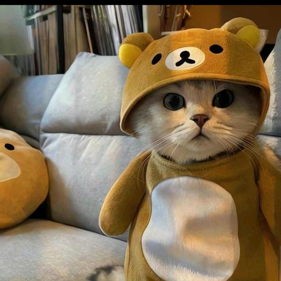 坏小孩LVOE