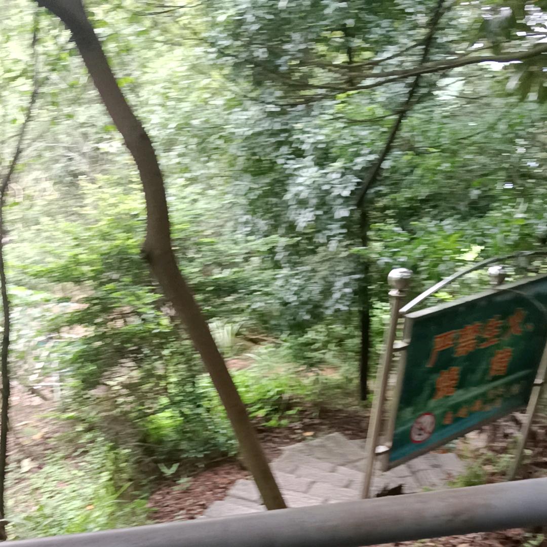 没有必要