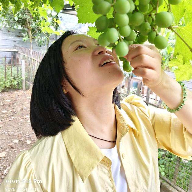 美好（首播筹备中）