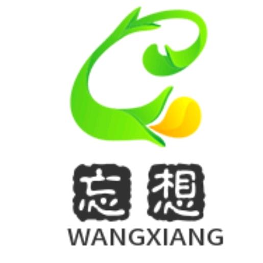 梦想成真