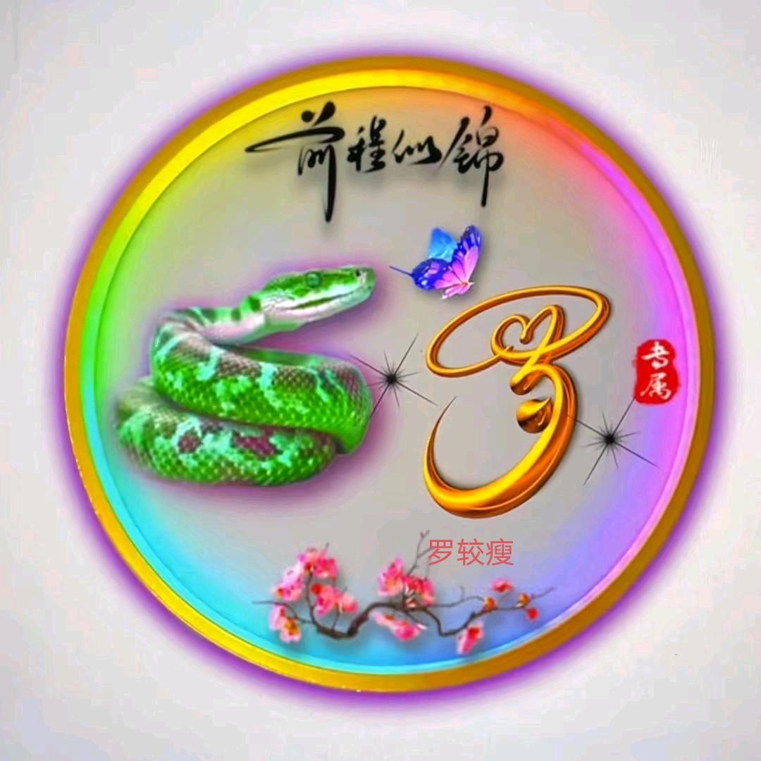 中国最后一个老实人