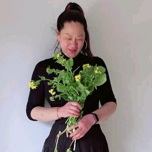 家有元宝