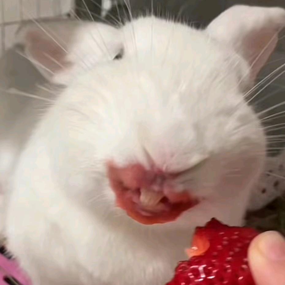 小葵,