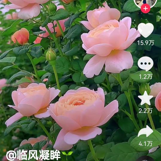 富贵甲天下