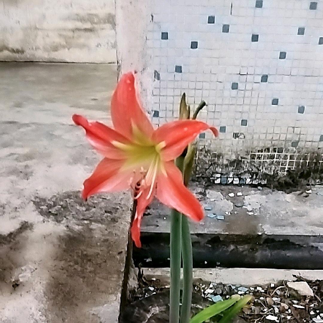 过
