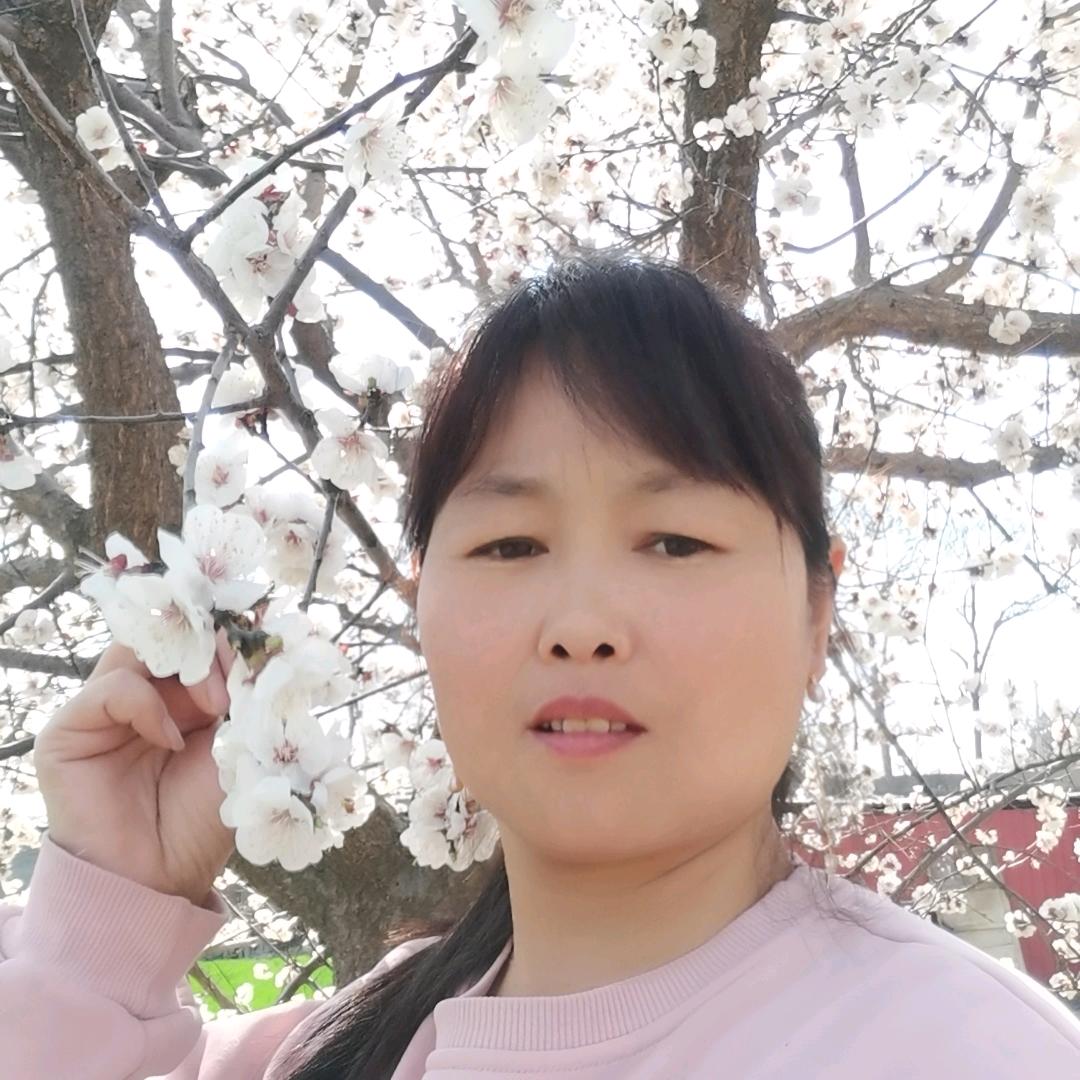 红玫瑰🌹