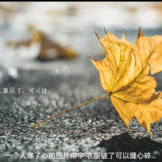 隐逸者