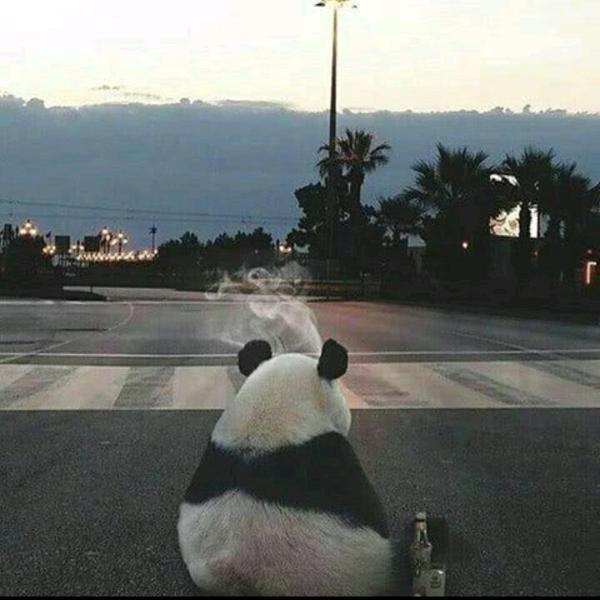 云无心以出岫