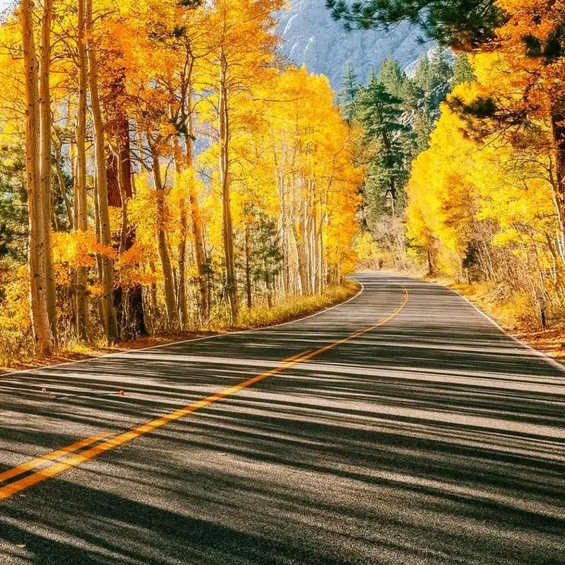 →_→婷♥婷*^_^*