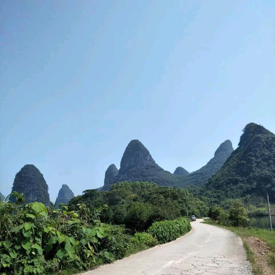 艳阳天