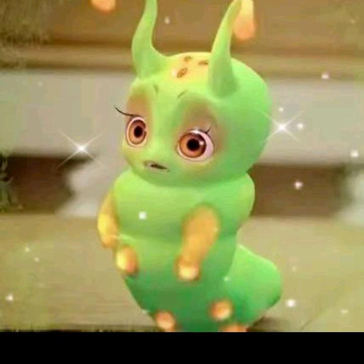 一路顺水又顺风