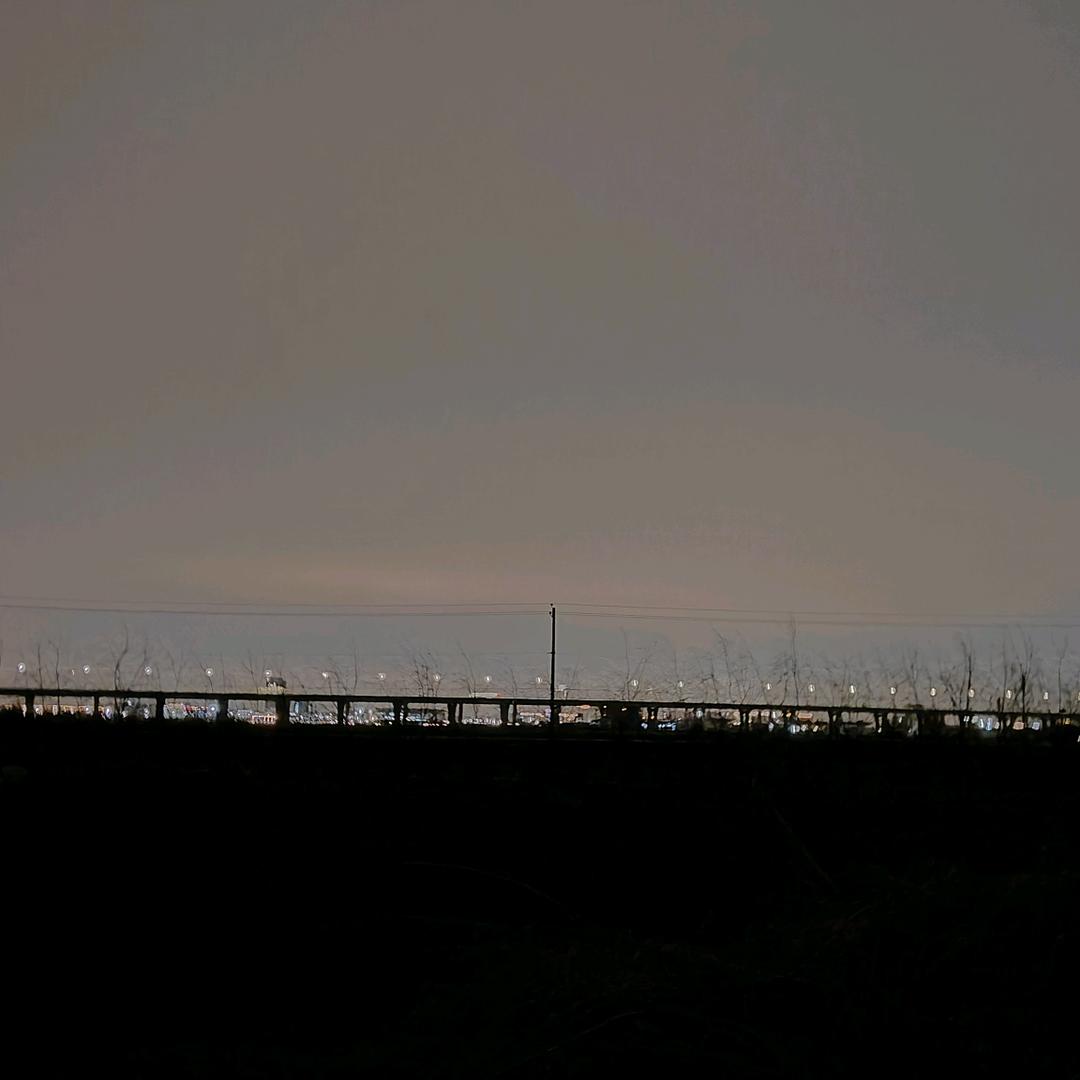 夜风抚叶落