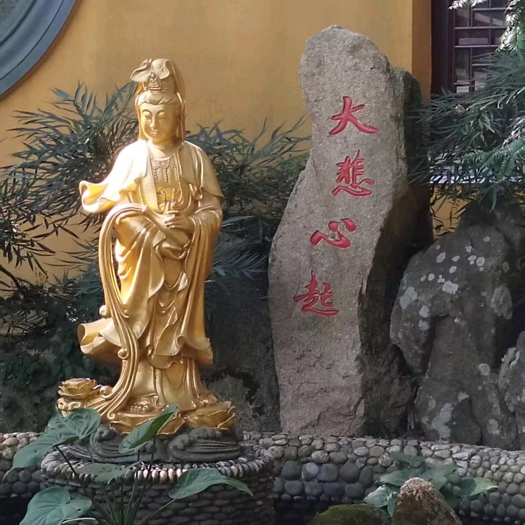 #枣庄—普陀山—五台山等祈福专线