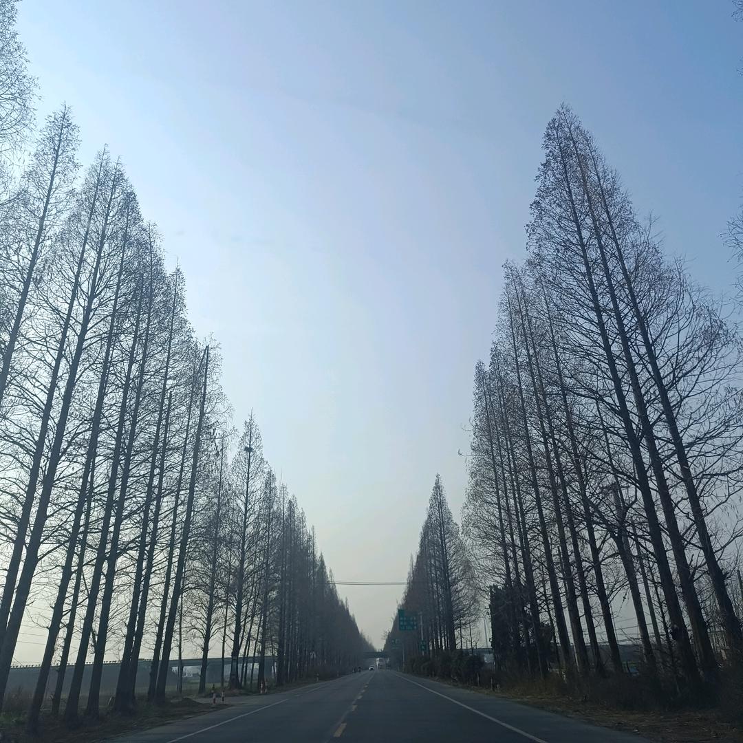 赵家的二姑娘