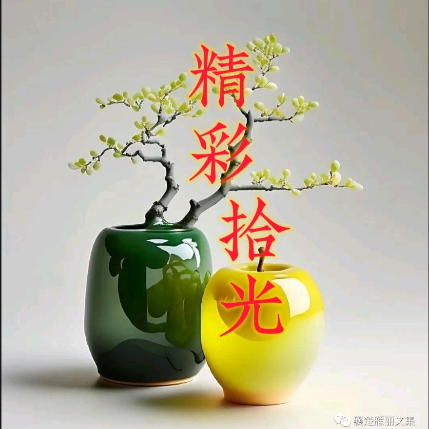 精彩拾光文案馆