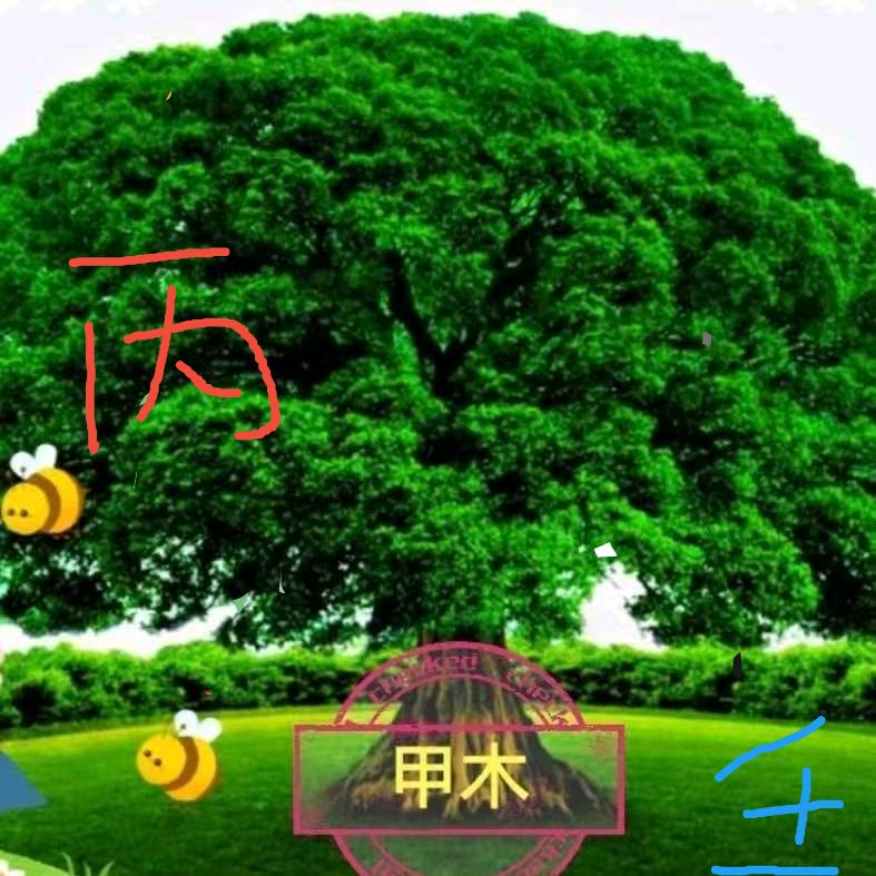 阿景桔瑞