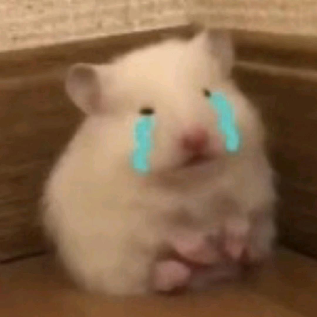 会飞的小阿雕