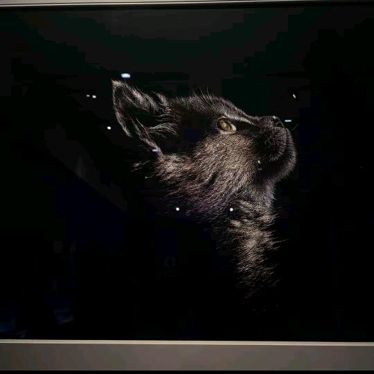 侽朲還昰那个侽朲