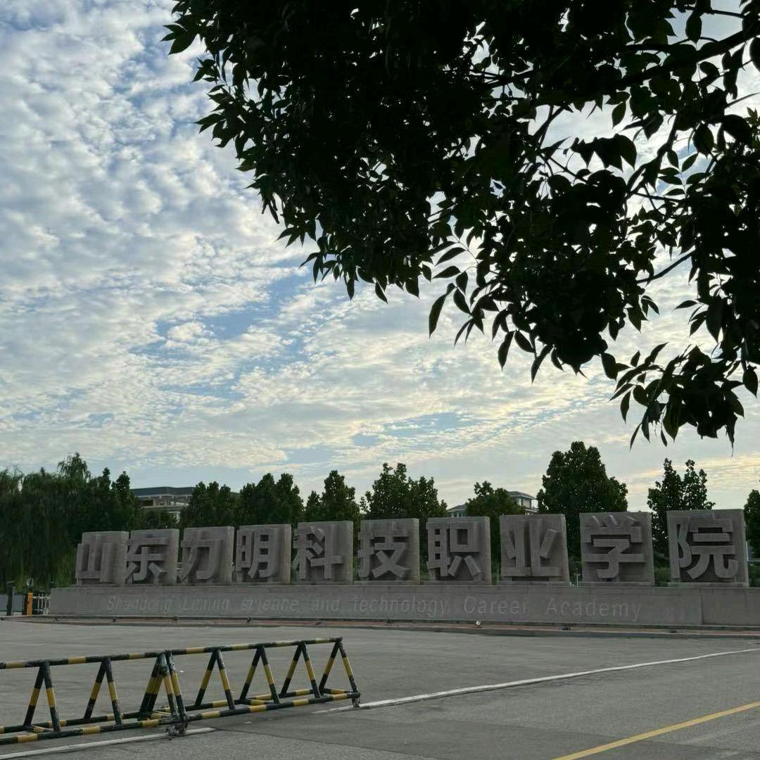 山东力明本科部刘老师