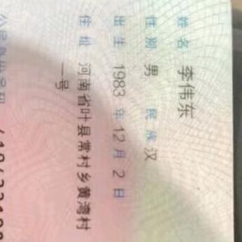 河南农民李伟东