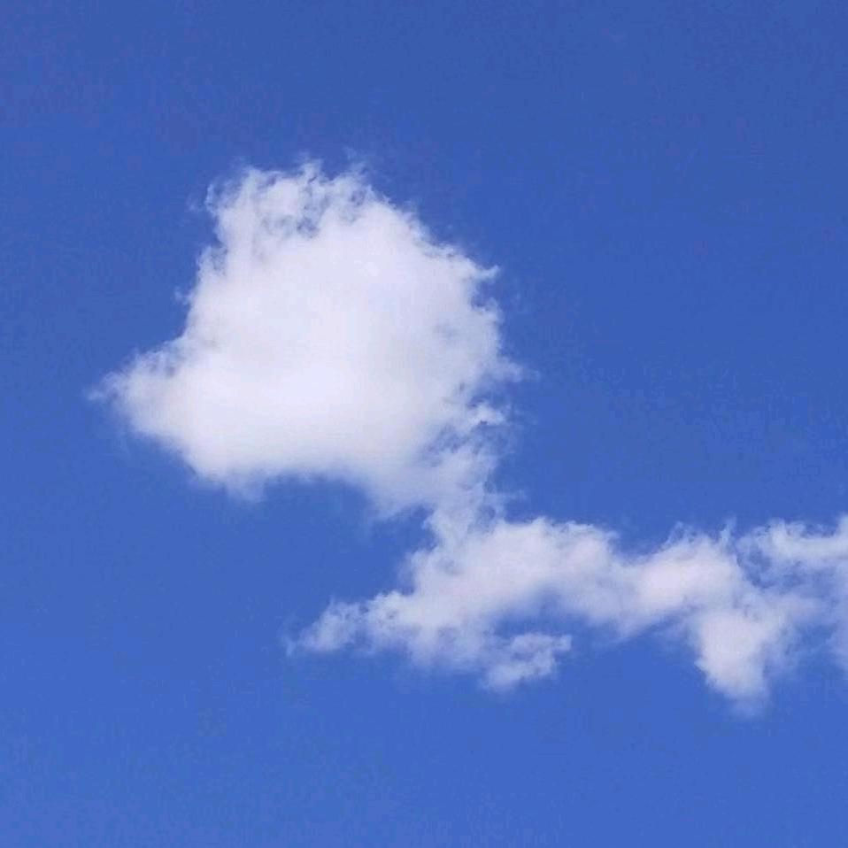 一蓑烟雨任平生