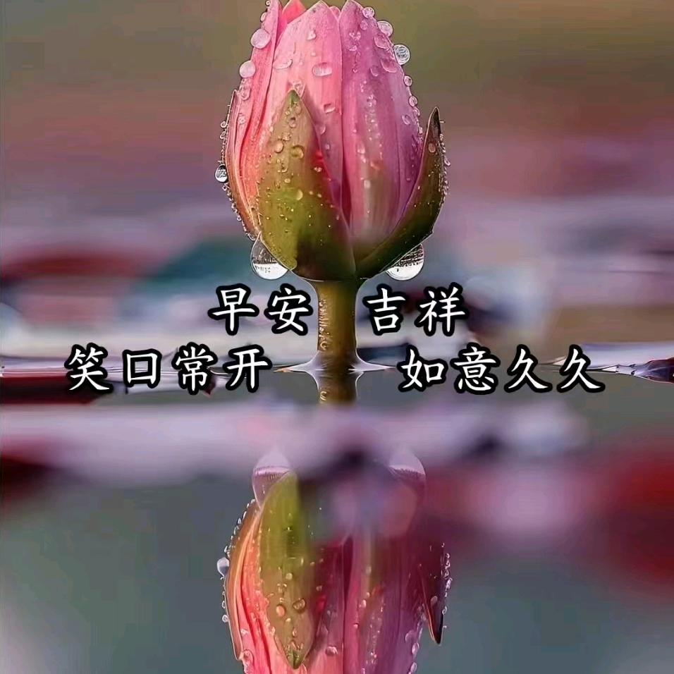 拉拉