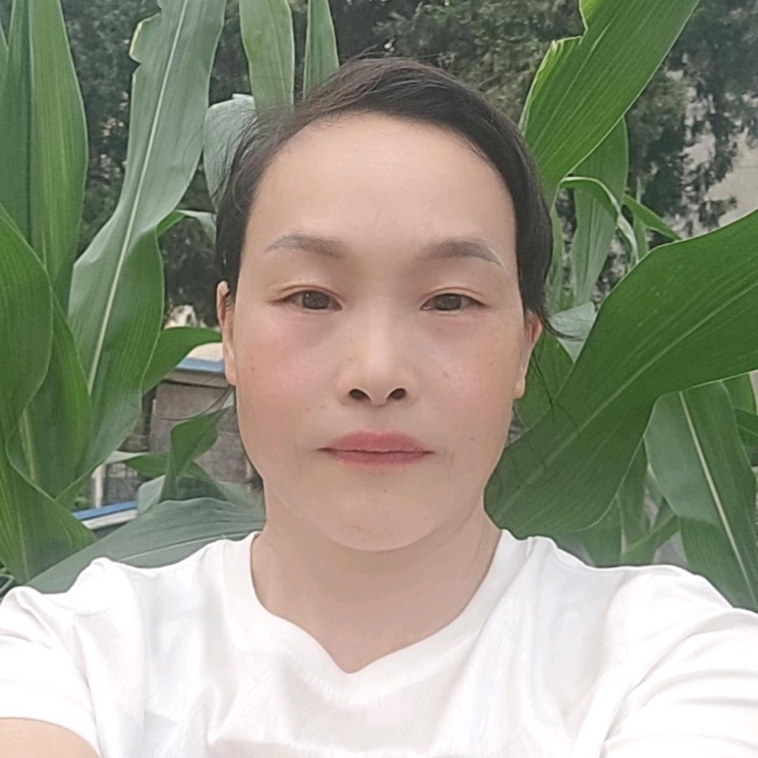 小白菜上午10.15
